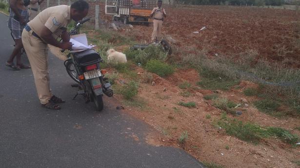 Activist, who fought illegal quarries, run over by truck in Karur