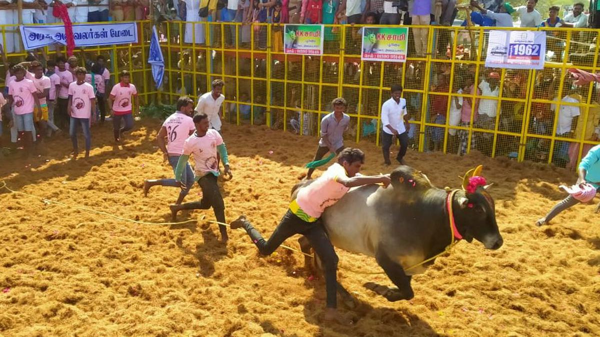 Bull tamer dies in hospital, day after he was injured at jallikattu event in Karur