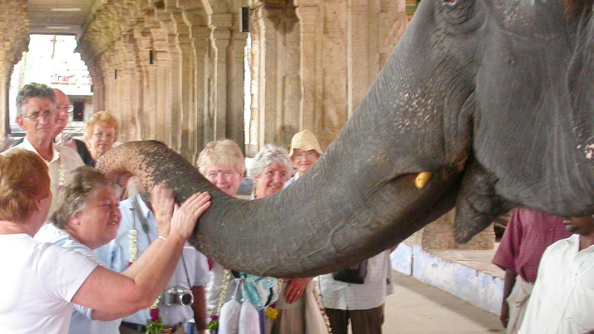 Gandhimathi, elephant of Tirunelveli Nellaiappar temple passes away