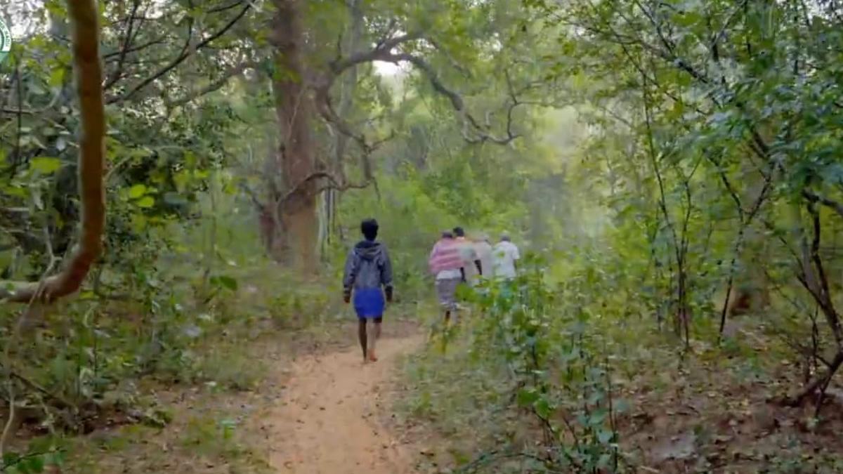 Tamil Nadu declares Kasampatty sacred grove in Dindigul a Biodiversity Heritage Site