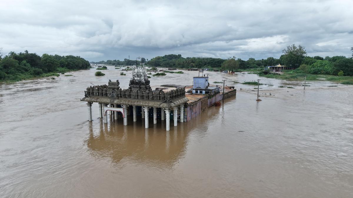 Tirunelveli district received an average rainfall of 93.96 mm in the past 24 hours ending at 6 a.m. on November 24, 2025
