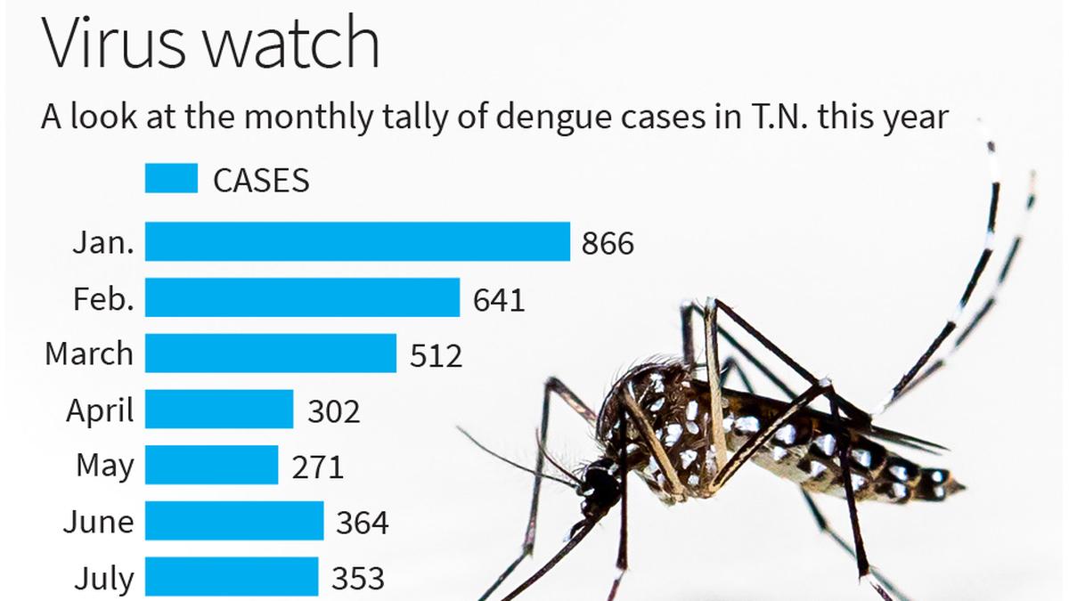 Tamil Nadu reports 4,048 dengue cases in the past eightandahalf