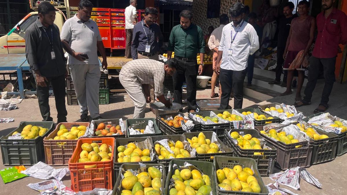 Food safety officials seize a tonne of artificially-ripened mangoes in Vellore