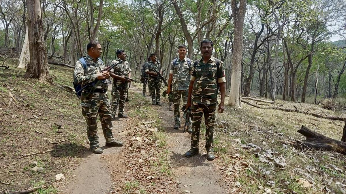 Special Task Force of T.N. police combing Mudumalai forest area 