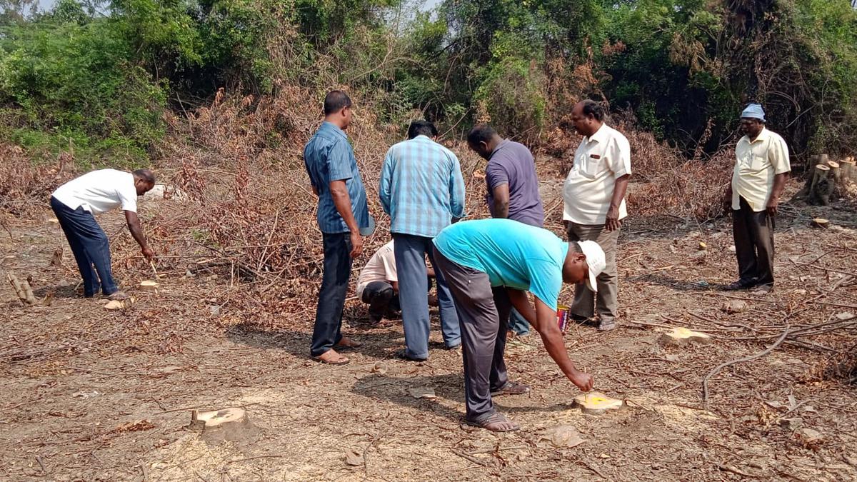 Truckload of illegally cut trees seized in Karasur-Sedarapet area
