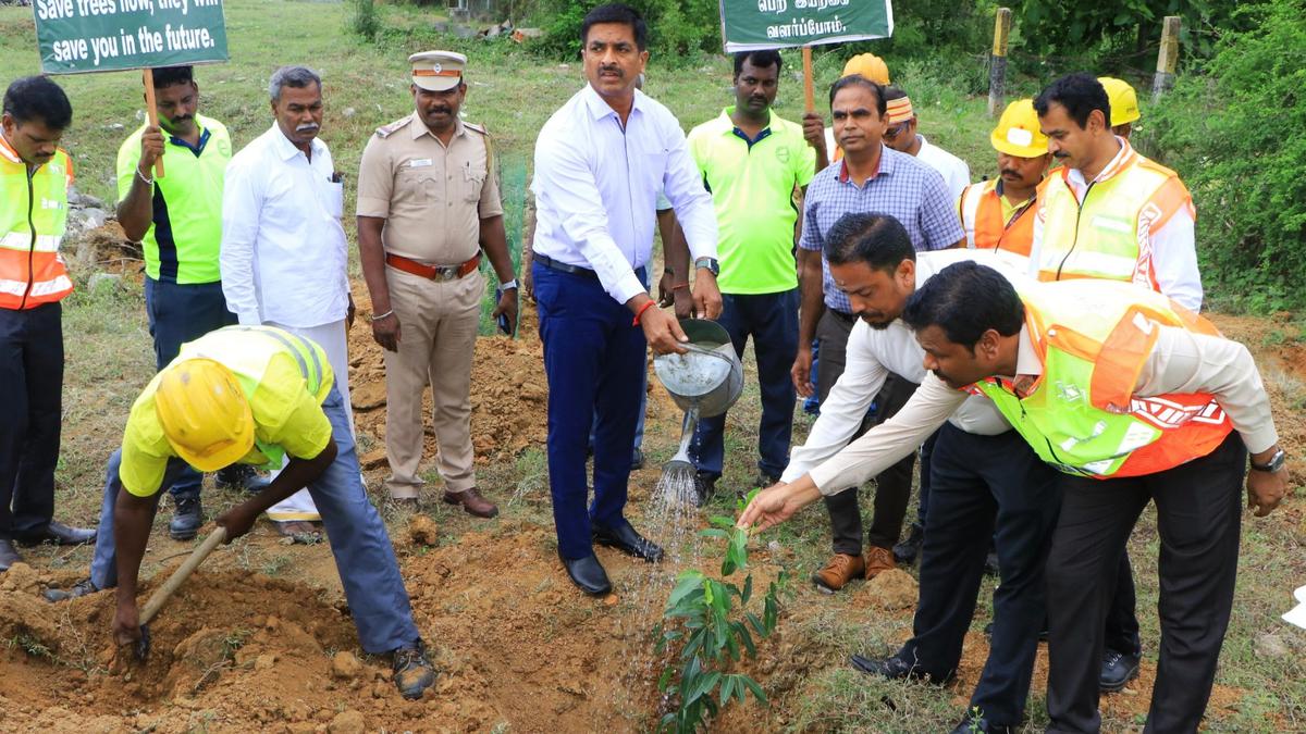 4.5 lakh saplings to be planted on Chennai-Bengaluru Highway - The Hindu