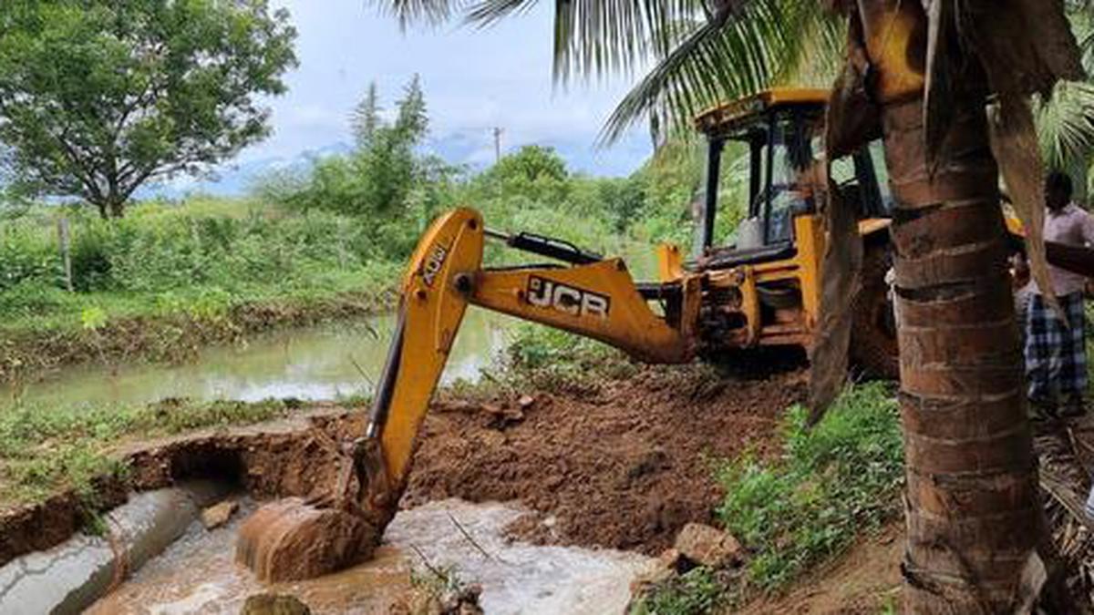 49 parched irrigation tanks in Tirunelveli district get water after 30 years