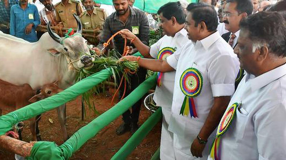 CM lays foundation for international livestock research centre