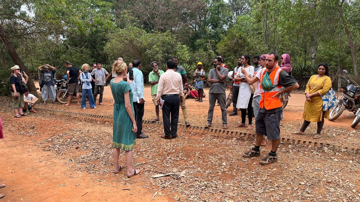 Amid protests, authorities push ahead begin felling trees for Crown Road in Auroville