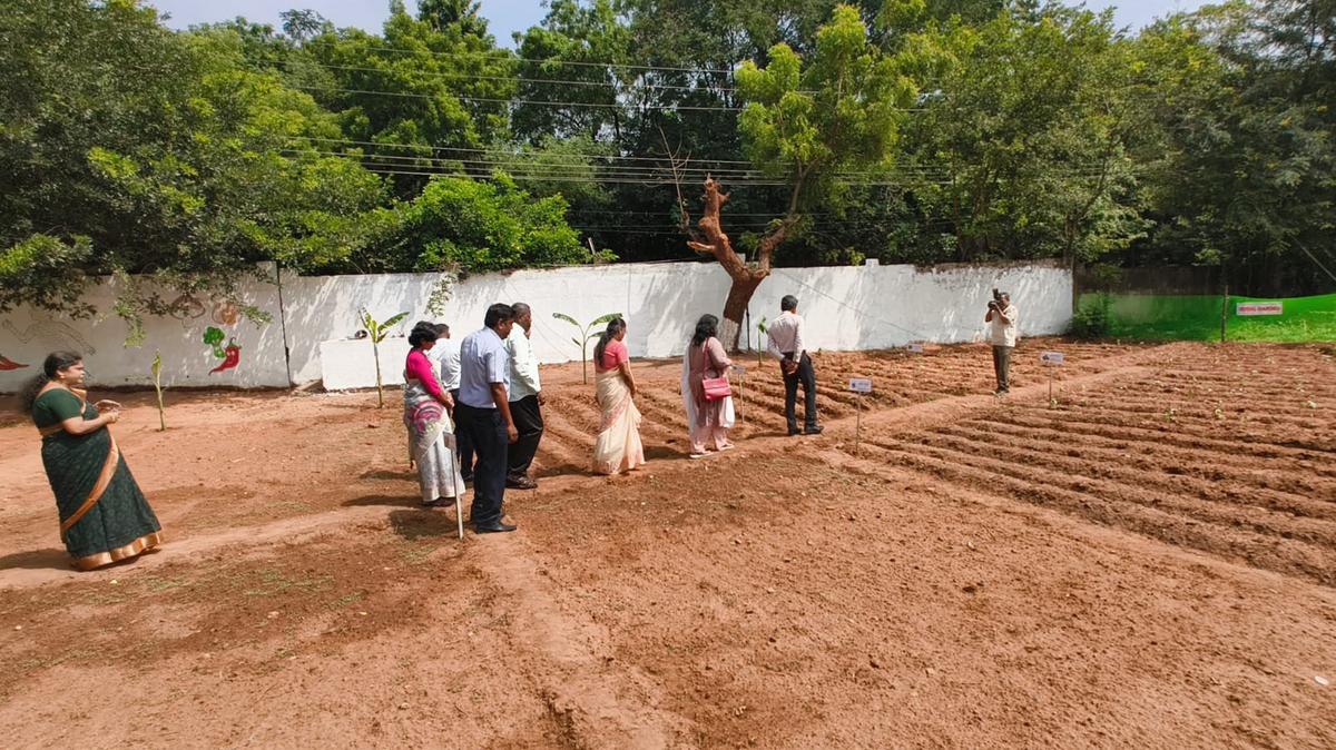 Organic kitchen garden inaugurated at government school in Puducherry - The  Hindu