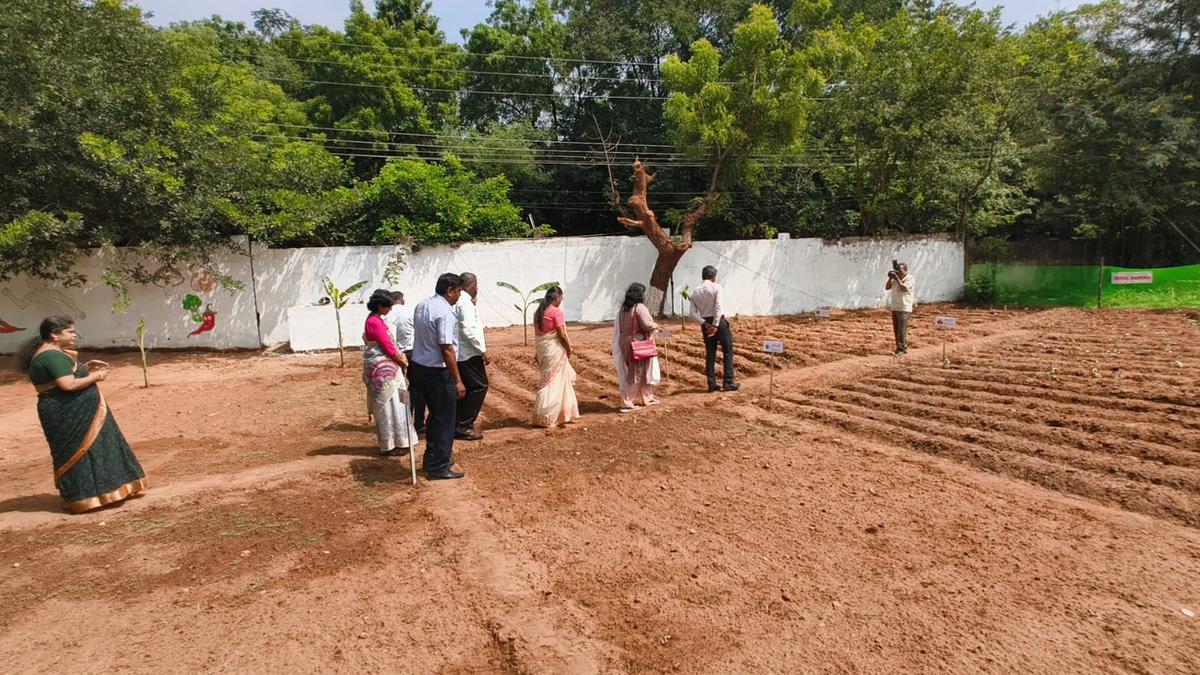 Organic kitchen garden inaugurated at government school in Puducherry