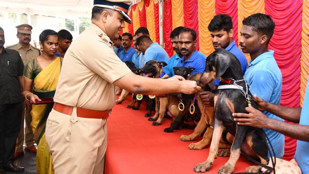 https://th-i.thgim.com/public/news/national/tamil-nadu/m4h21g/article69675571.ece/alternates/LANDSCAPE_1200/WhatsApp%20Image%202025-06-09%20at%2020.01.37_add408a2.jpg