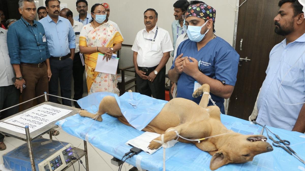 Veterinary centre for vaccination, sterilization of community dogs in Vellore Corporation inaugurated