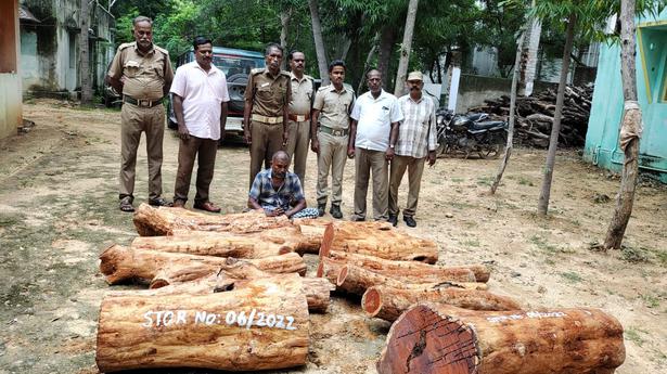 One person arrested for cutting down red sanders in Arcot near Ranipet