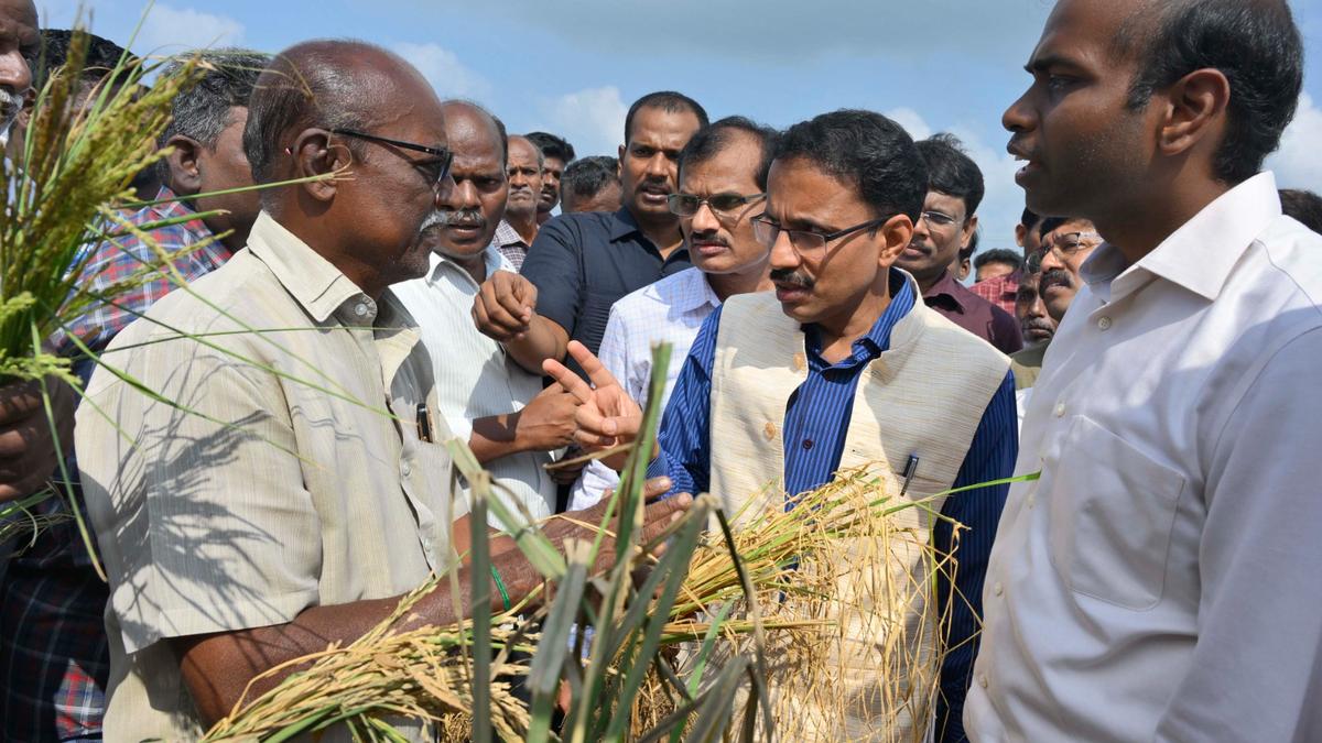 Central team inspects crops, property damaged by floods in Cuddalore