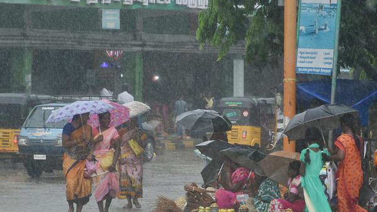 Widespread rain in Ramanathapuram district on Thursday - The Hindu