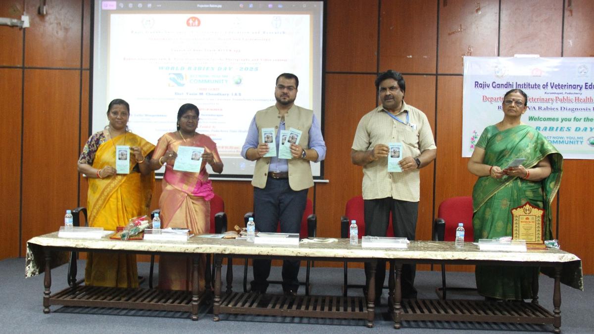 RIVER designs mobile app to strengthen rabies surveillance