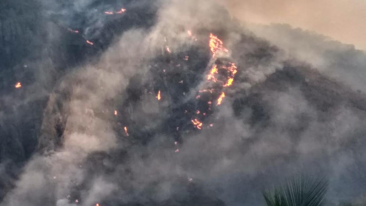 Fire destroys 50 hectares of rocky forest terrain near Coimbatore, firefighting enters third day