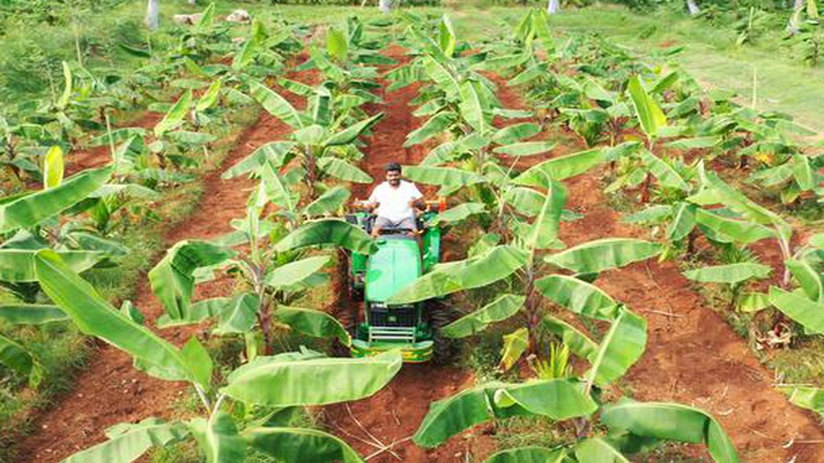 The Indian Young Farmers Forum, a collective where successful farmers  mentor those new to farming - The Hindu
