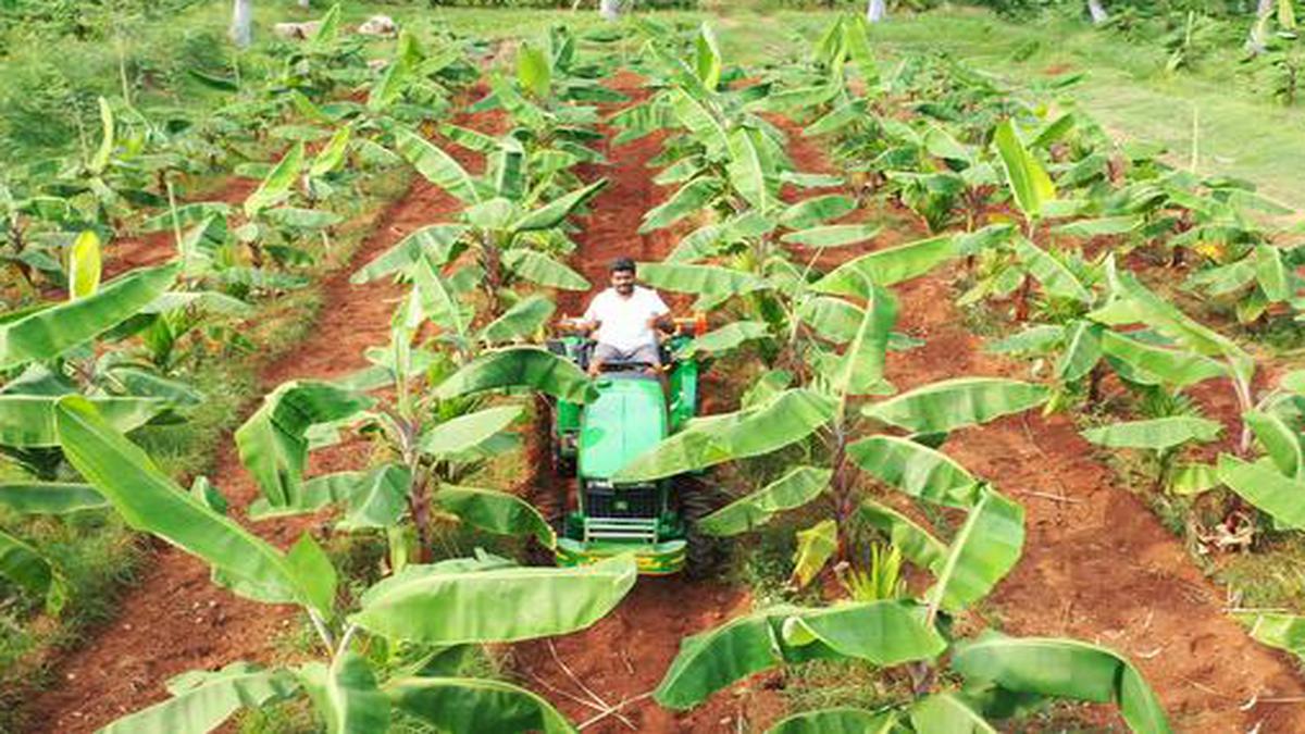 The Indian Young Farmers Forum, a collective where successful farmers mentor those new to farming