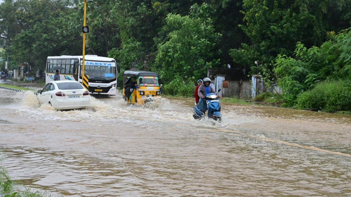 Two T.N. Ministers to coordinate relief measures in Krishnagiri, Dharmapuri districts