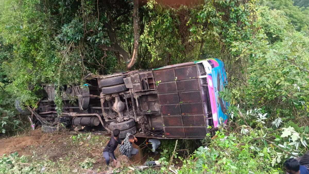 Eight killed as tourist bus plunges off hairpin bend in the Nilgiris