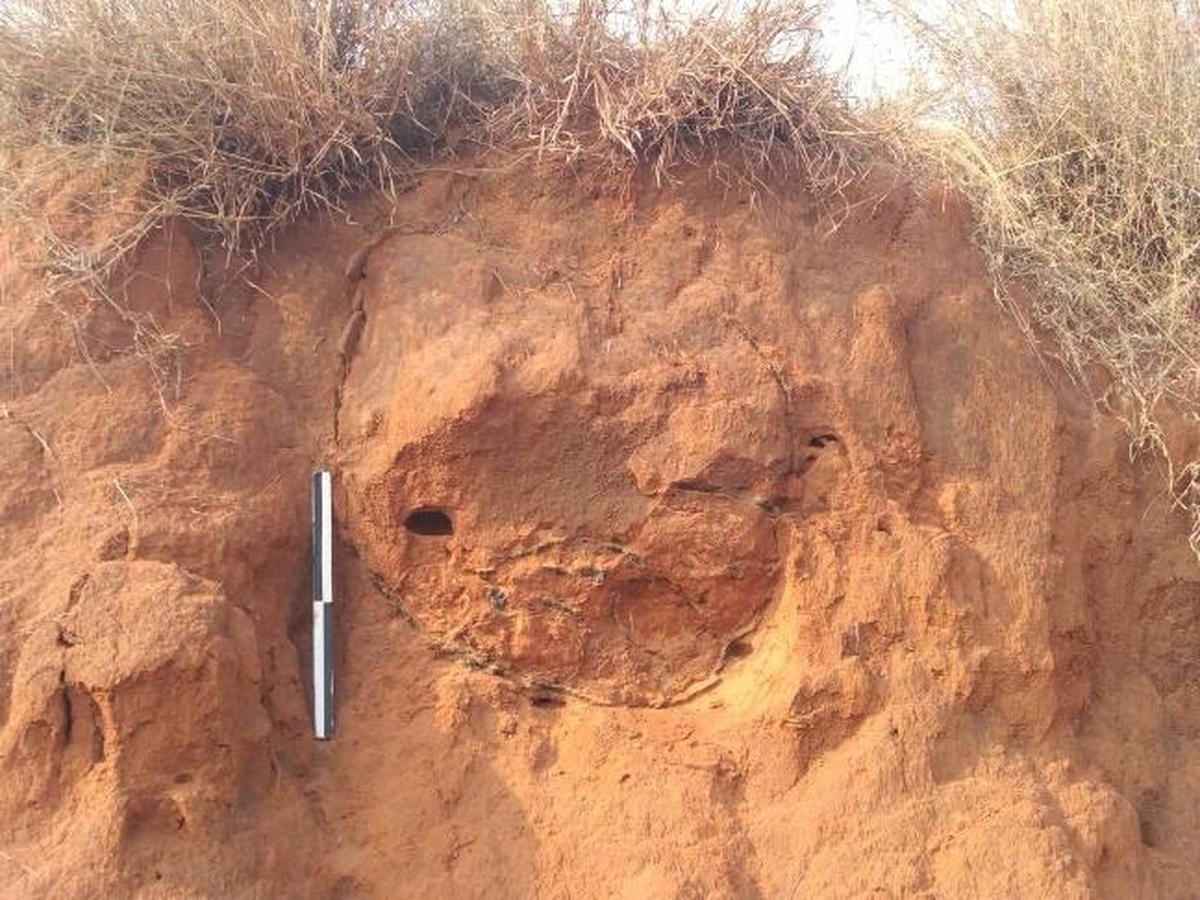 Un'urna sepolta in modo disturbato nel villaggio di Sengadu, nel distretto di Villupuram.