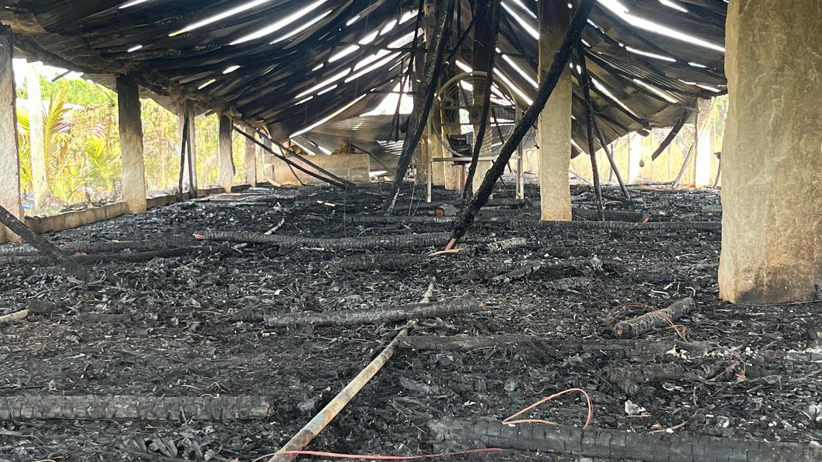 Over 11,000 chickens killed in poultry farm fire near Katpadi