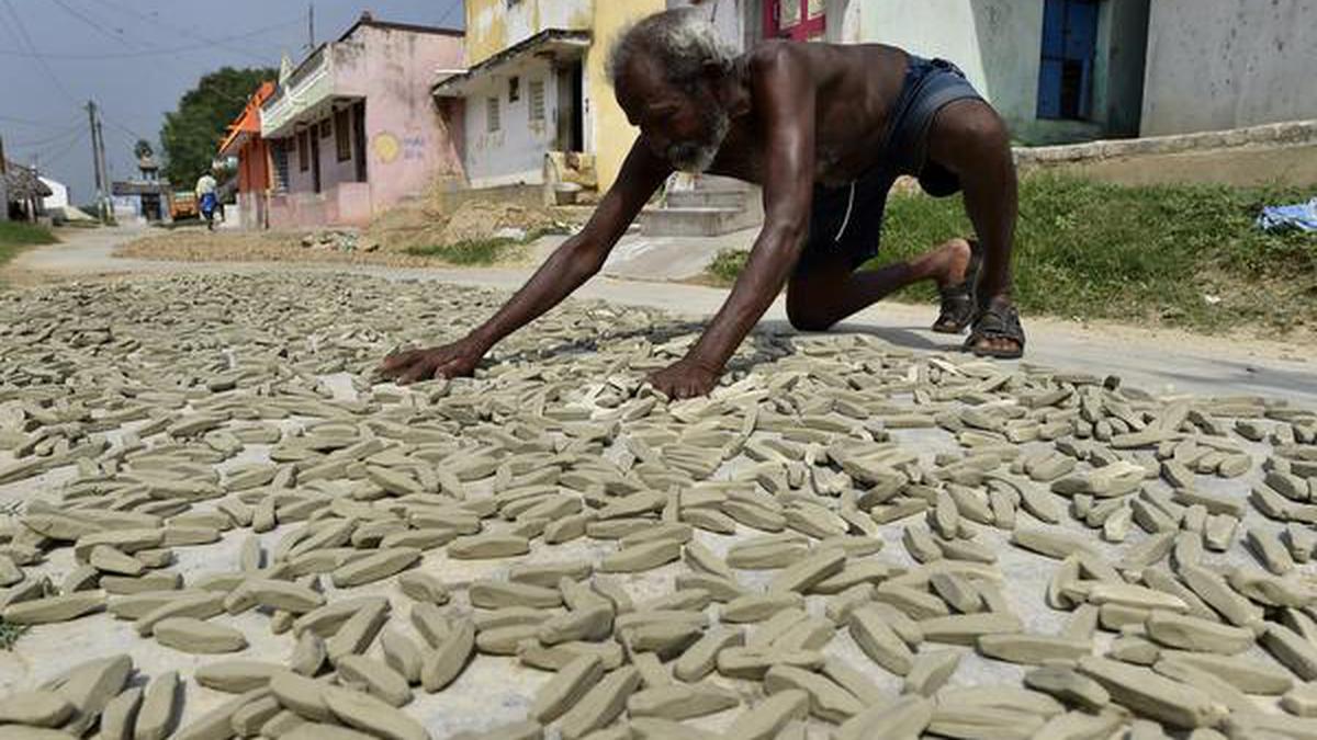 Tamil Nadu’s Jaderi ‘namakatti’, chedibutta saree and Kanniyakumari Matti banana get GI tag