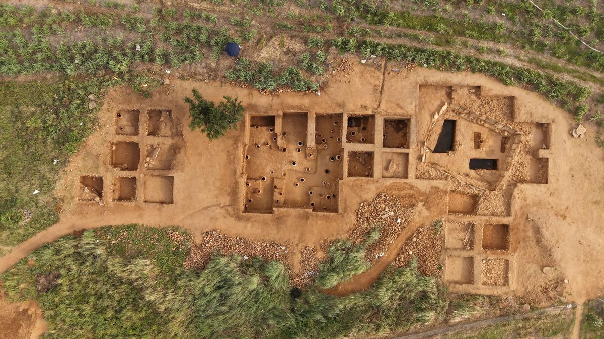 Iron Age in India: Archaeological Insights from Thirumalapuram