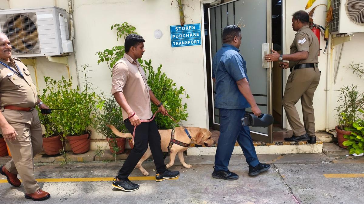 https://th-i.thgim.com/public/news/national/tamil-nadu/tawead/article70130341.ece/alternates/LANDSCAPE_1200/WhatsApp%20Image%202025-10-06%20at%2010.50.18.jpeg