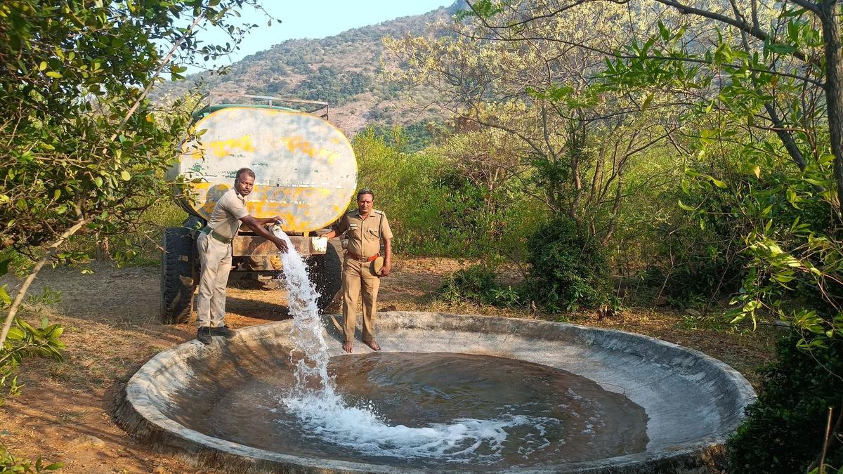 Forest Department fills water troughs around girivalam path in Tiruvannamalai