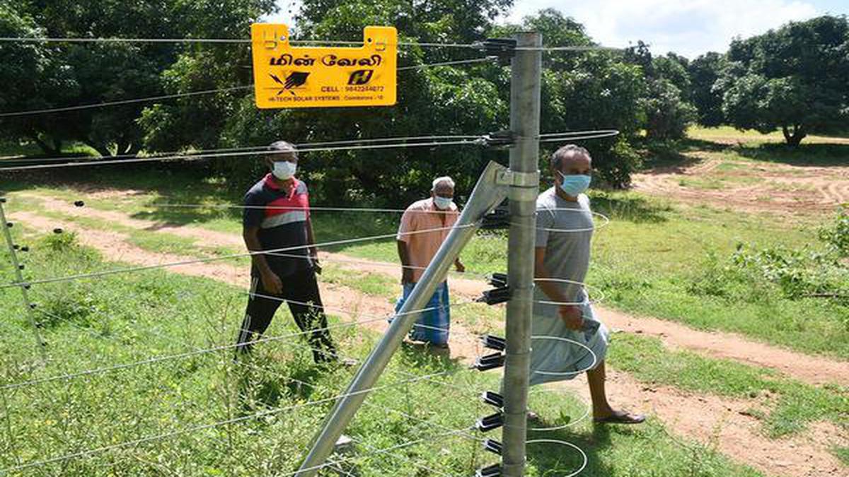 Farmers in Gudiyatham want solution to elephant menace