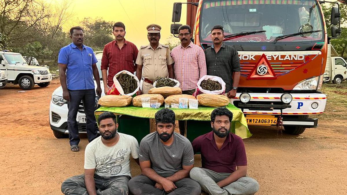 Police nab gang using container lorry to transport ganja from Andhra Pradesh