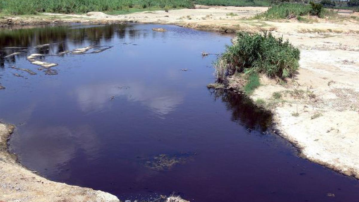 Supreme Court labels Palar river pollution an 'ecocide'