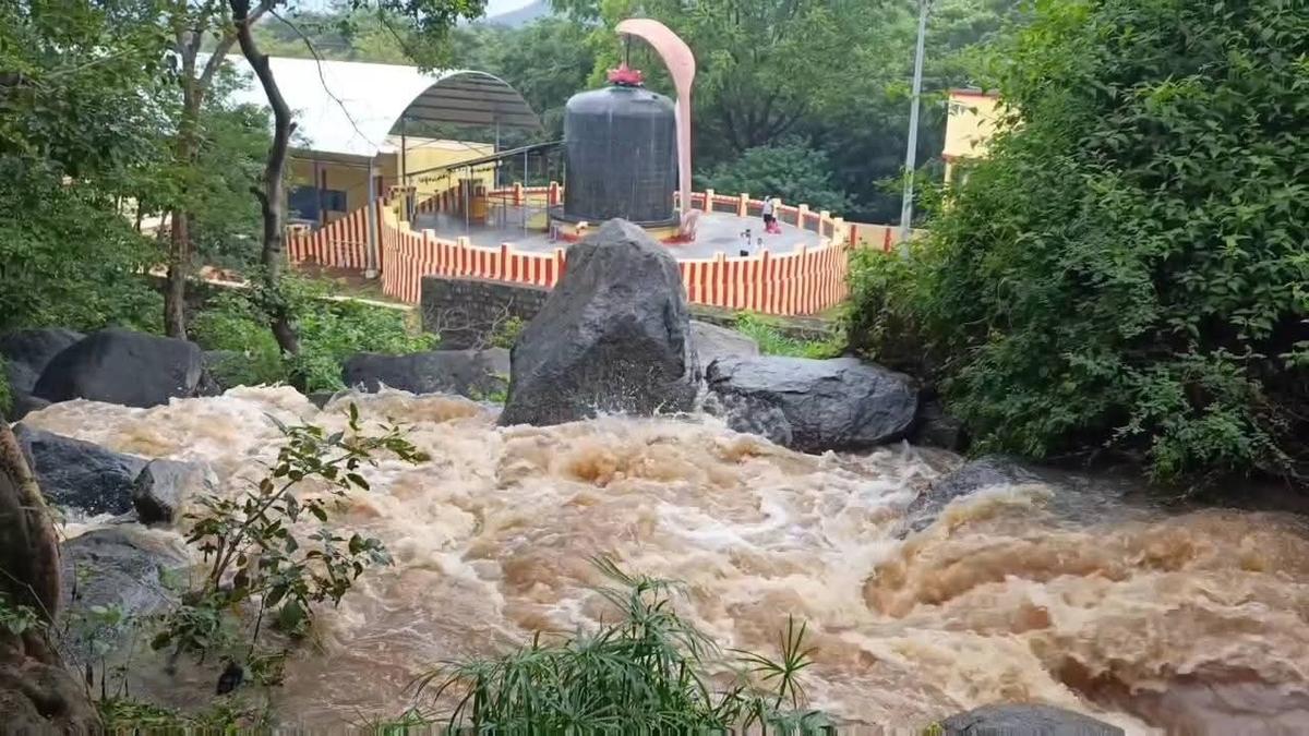 Forest department closes Jalagamparai falls in Tirupattur for tourists due to rain