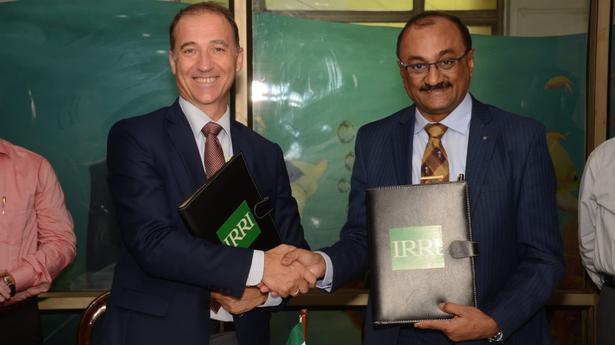 Annamalai University inks pact with International Rice Research Institute