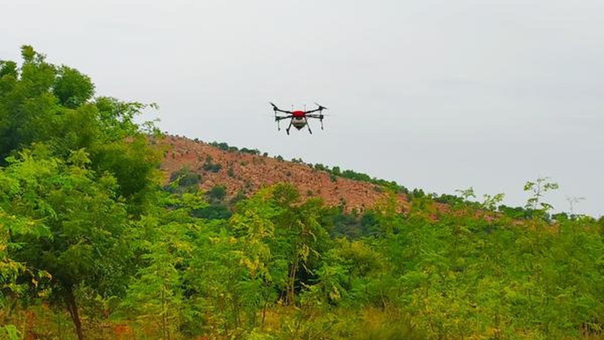 Biorepellent being tried to drive away wild boars in Usilampatti