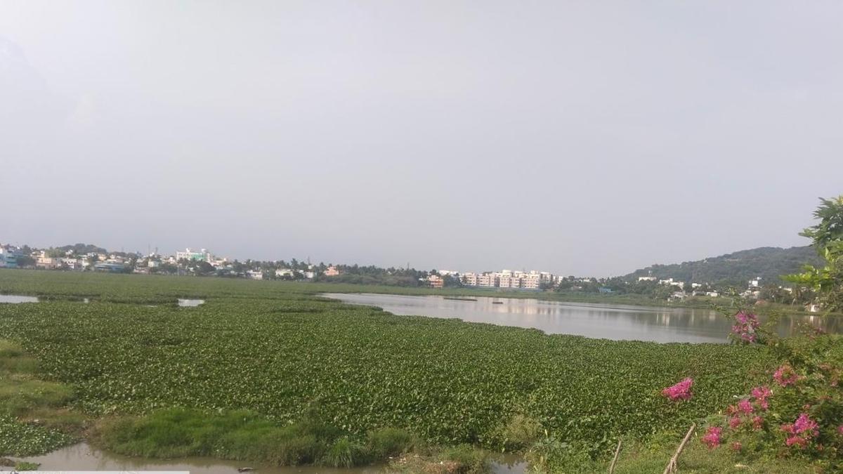 Clogging of lake on the northern side of Putheri causes flooding in Pallavaram