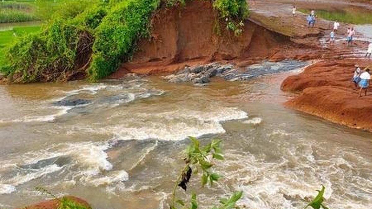 Work to plug breach of Lower Bhavani Project canal bank begins The Hindu