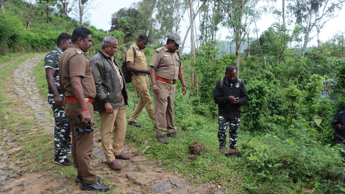 Second synchronised elephant population estimation gets under way in Tamil Nadu