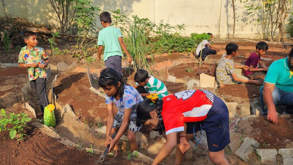 Aadi Pattam: When city folks learn farming on weekends