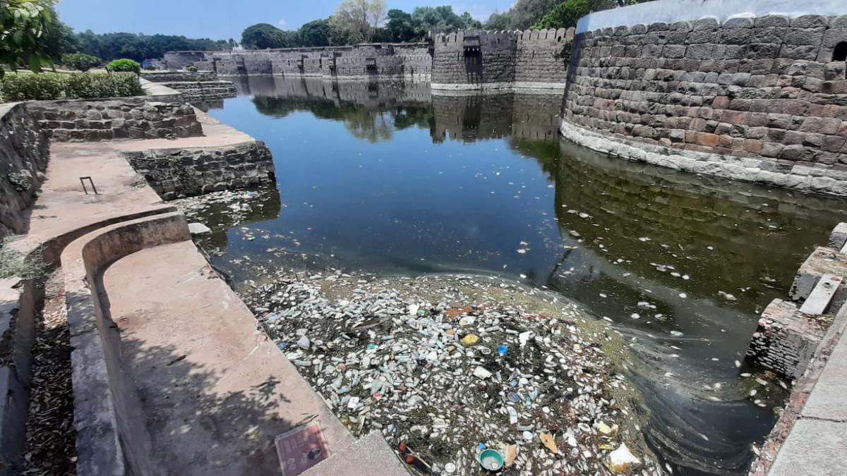 Water hyacinth, weeds affect water flow in moat at Vellore fort