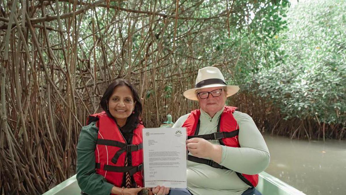 Longwood Shola forest in Nilgiris gets Queen’s Commonwealth Canopy accreditation