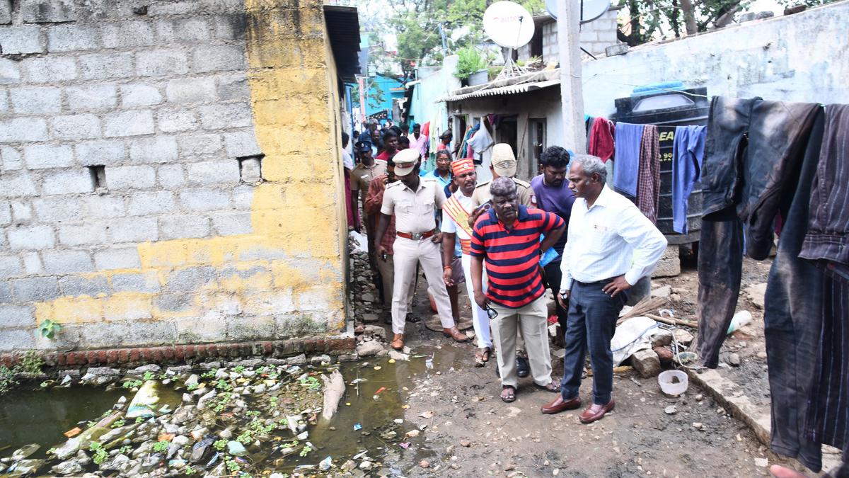 Five-year-old girl dies of dengue in Tirupattur town