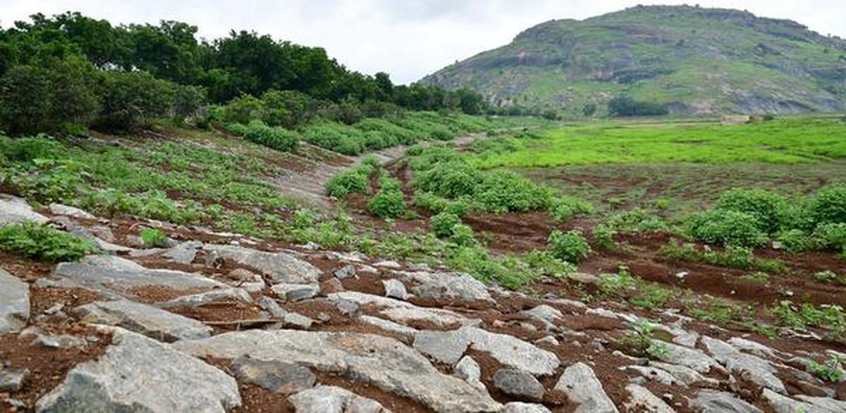 Restoration undone? Erosion sparked by wet spell weakens Otteri bund - The  Hindu