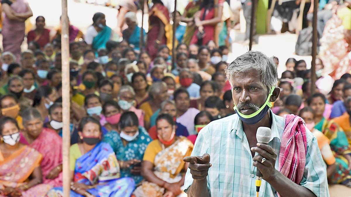 Madras High Court bats for right of animals to live without fear and distress; orders relocation of 495 families in Thengumarahada