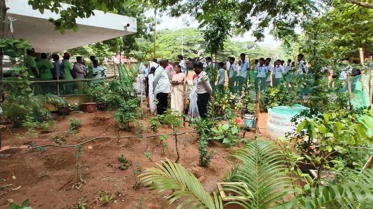 In an effort to encourage students to cultivate pesticide-free vegetables, the Education Department has created an organic kitchen garden at Navalar Government Higher Secondary School, Lawspet