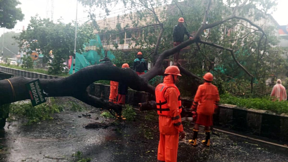 Cyclone Fengal: Holiday for schools and colleges on December 2, 2024; Madras University exams postponed