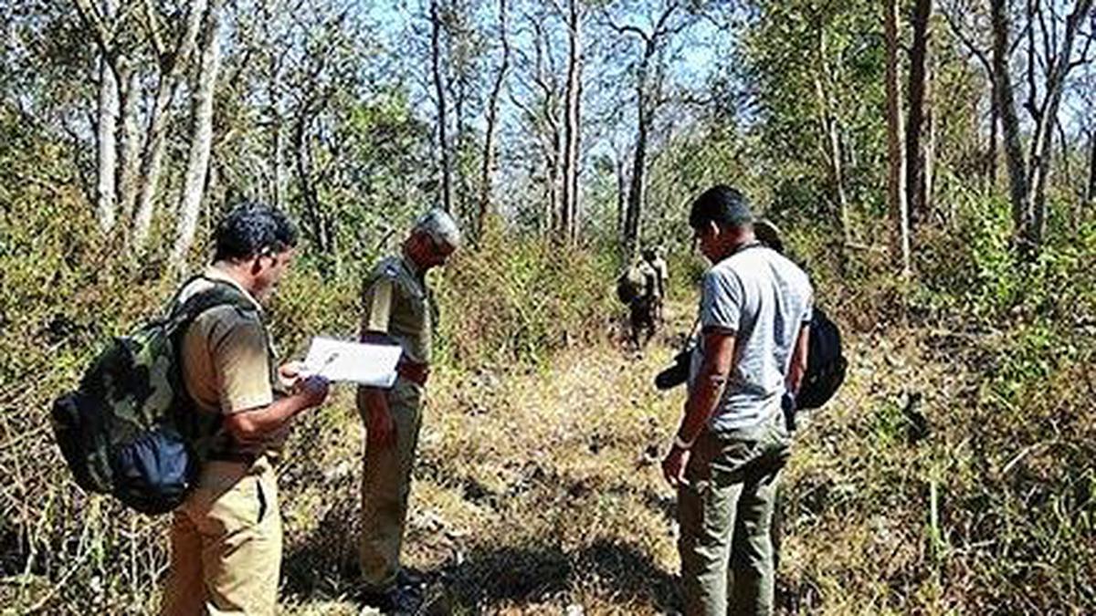 Special units for tigers, wildlife crime face axe in MoEF revamp